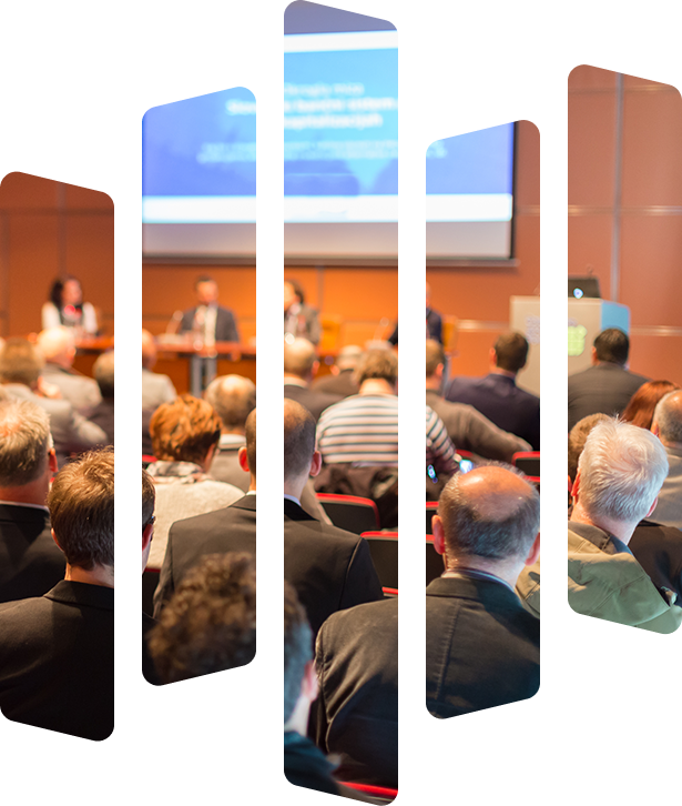 DS Academy Decorative image of Singapore inside a mask with vertical lines